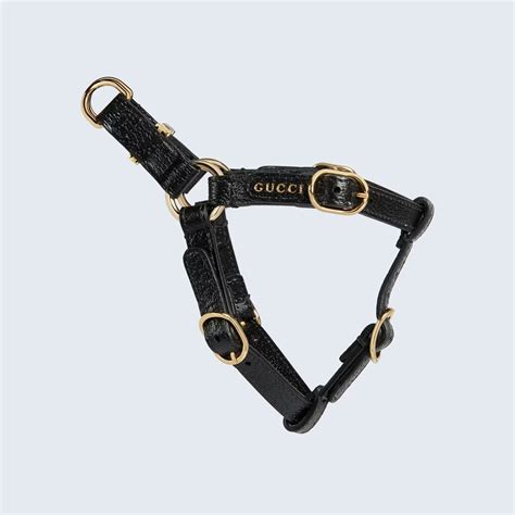 gucci collar for cats|Gucci dog collar backpack.